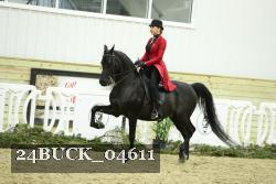 24BUCK_04611 proof