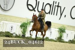 24BUCK_04612 proof