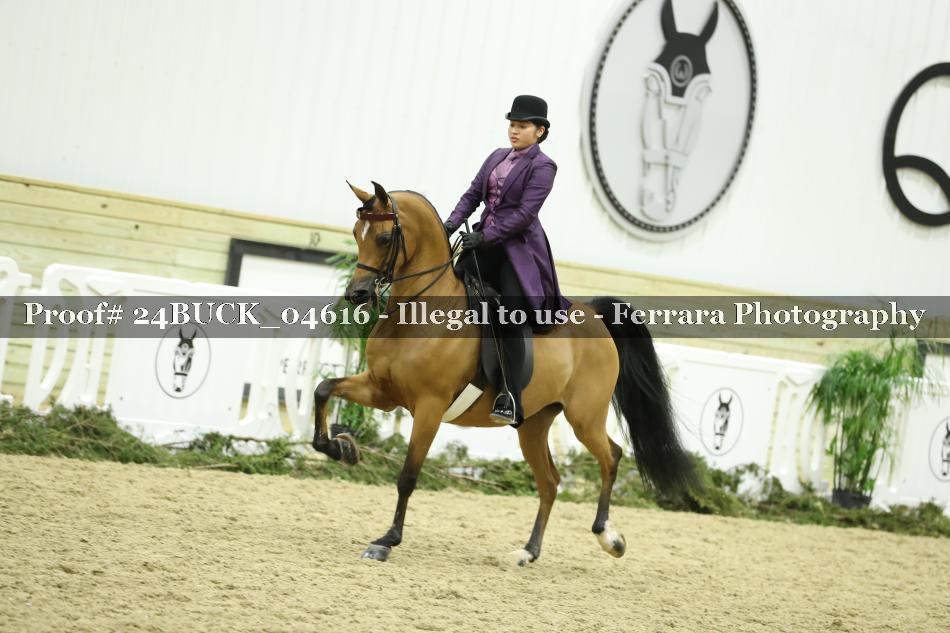 Proof 24BUCK_04616