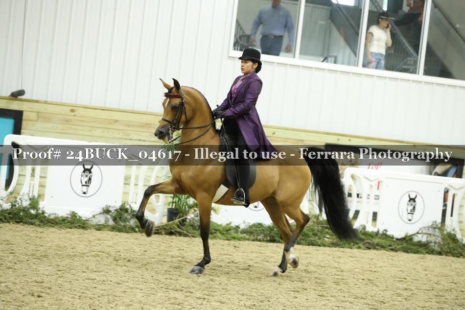 Proof 24BUCK_04617