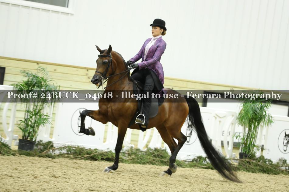 Proof 24BUCK_04618