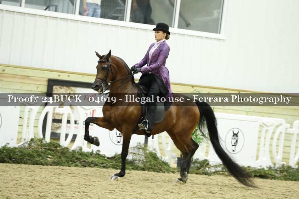 Proof 24BUCK_04619