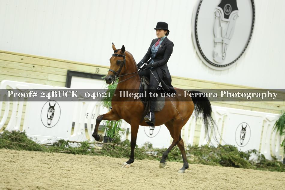 Proof 24BUCK_04621