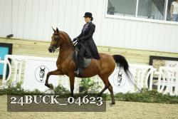 24BUCK_04623 proof