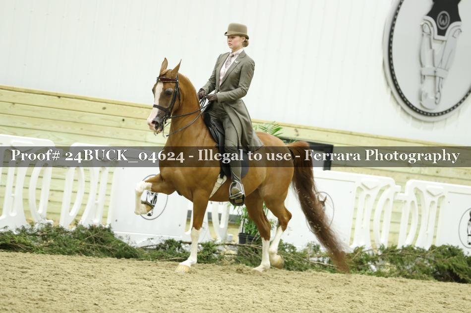 Proof 24BUCK_04624