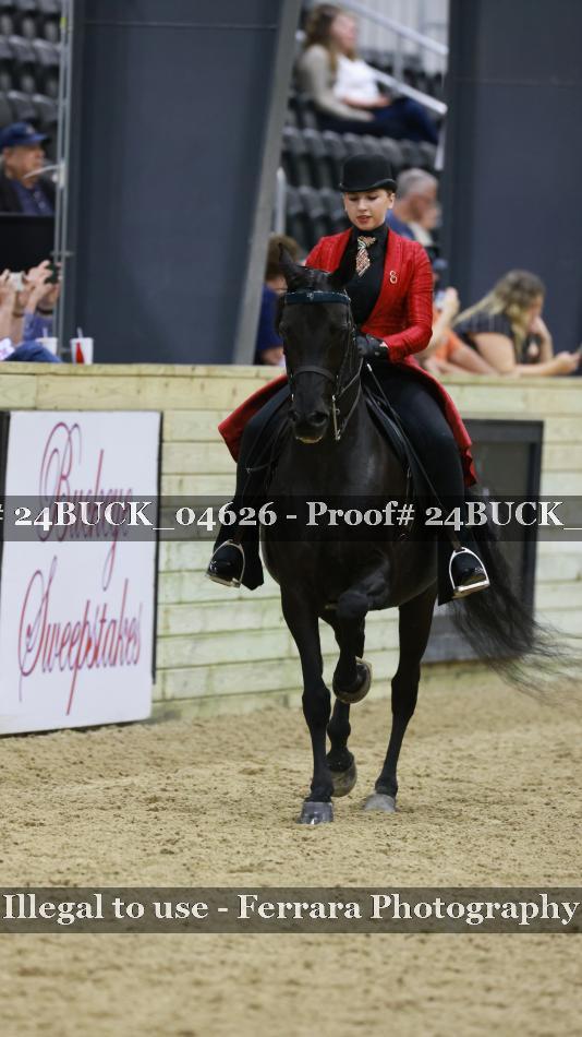 Proof 24BUCK_04626