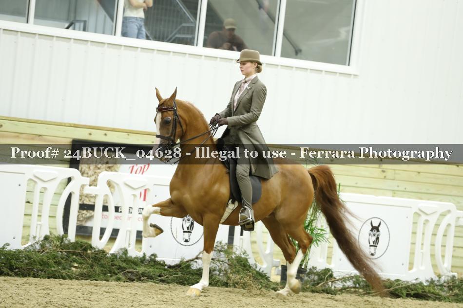 Proof 24BUCK_04628