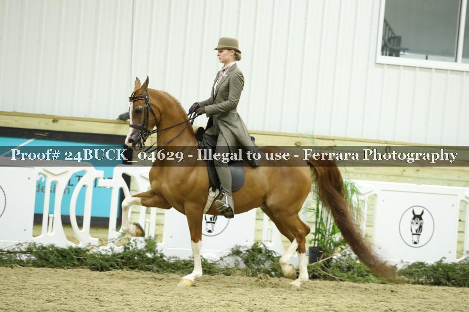 Proof 24BUCK_04629