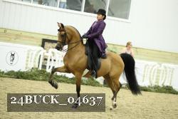 24BUCK_04637 proof