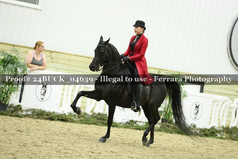 Proof 24BUCK_04639