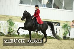 24BUCK_04641 proof