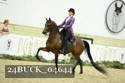 24BUCK_04644 proof