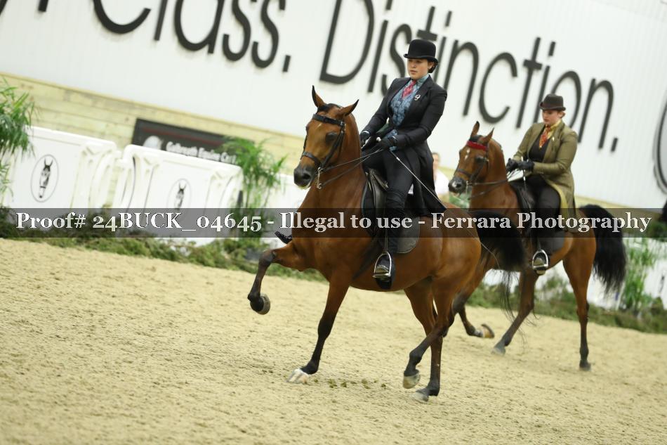 Proof 24BUCK_04645