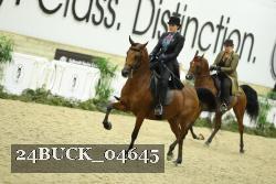 24BUCK_04645 proof