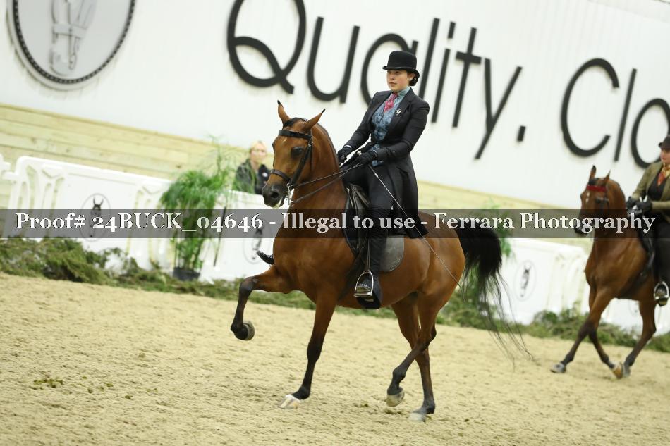 Proof 24BUCK_04646