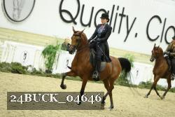 24BUCK_04646 proof