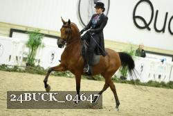 24BUCK_04647 proof