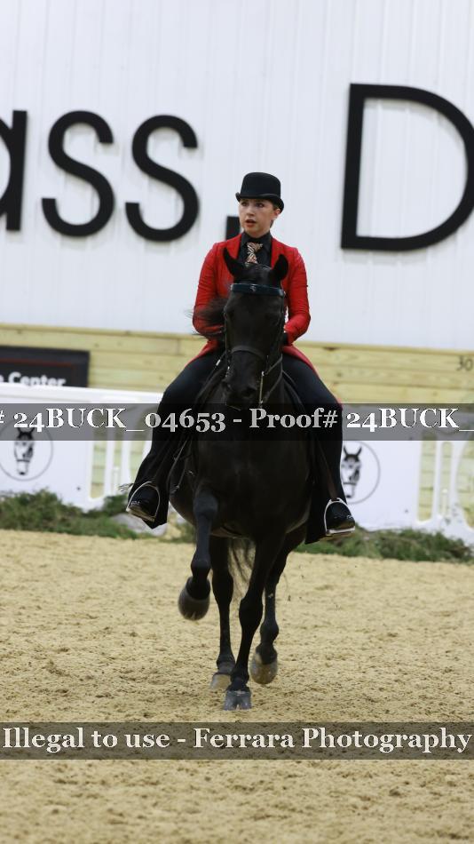 Proof 24BUCK_04653