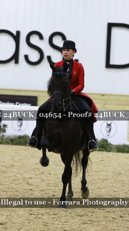Proof 24BUCK_04654