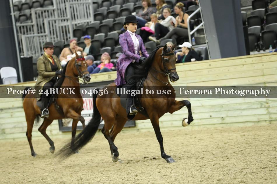 Proof 24BUCK_04656