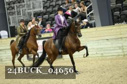 24BUCK_04656 proof