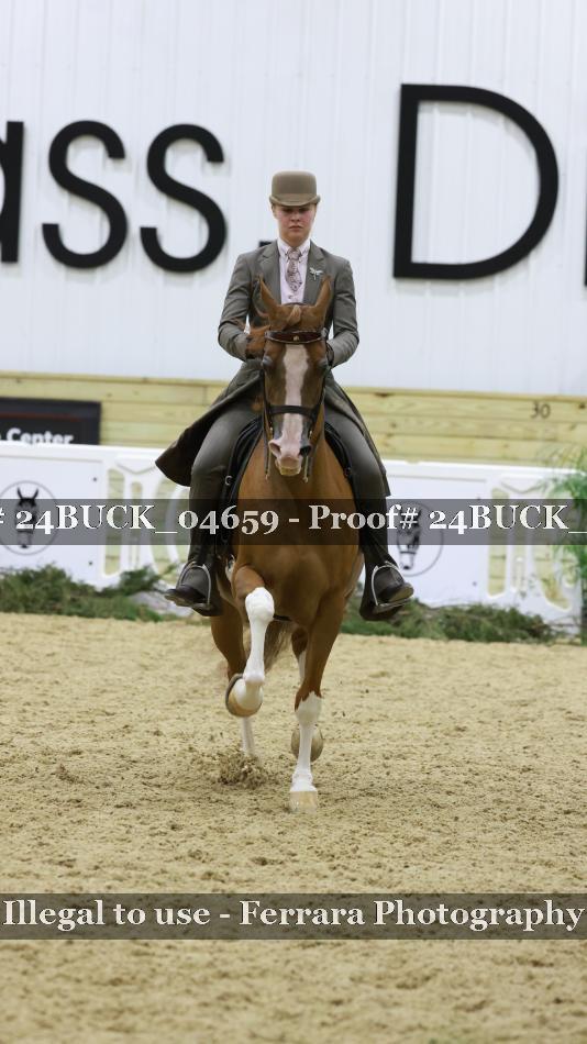 Proof 24BUCK_04659