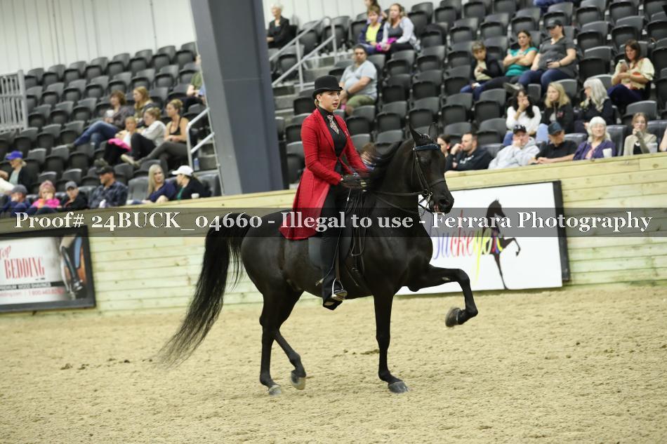 Proof 24BUCK_04660