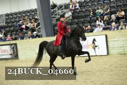 24BUCK_04660 proof