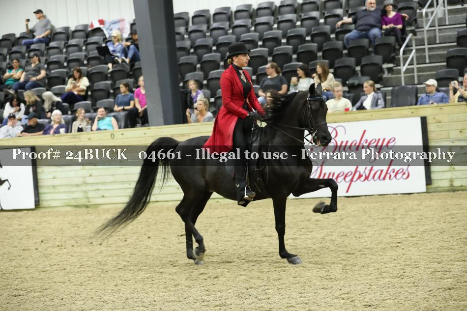 Proof 24BUCK_04661