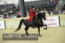 24BUCK_04661 proof