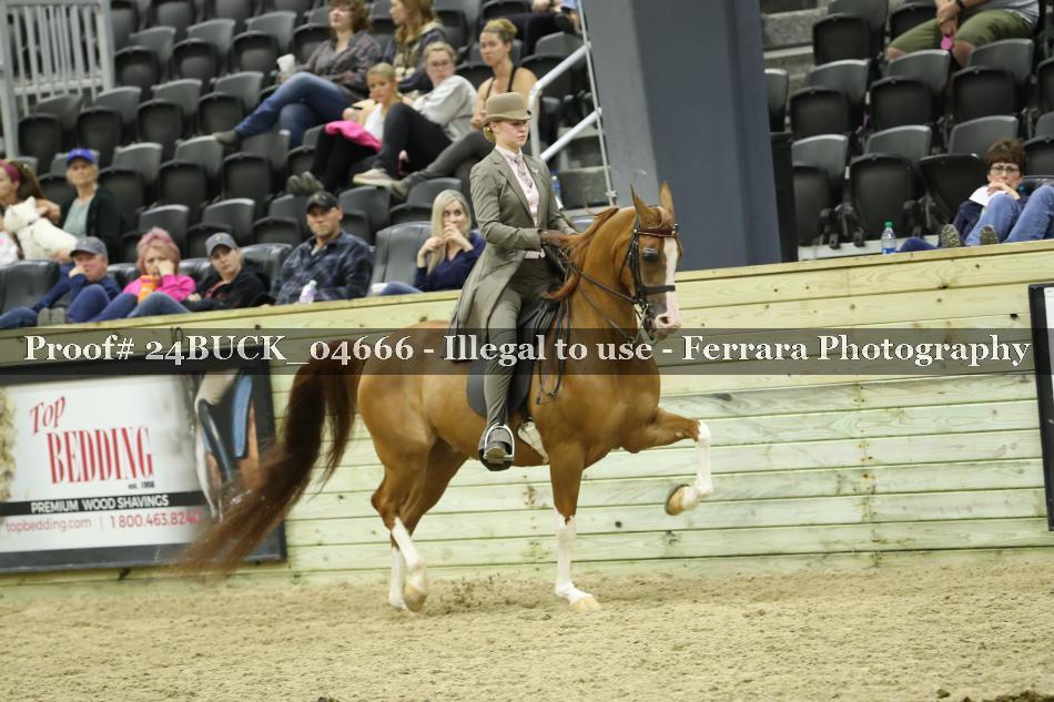 Proof 24BUCK_04666