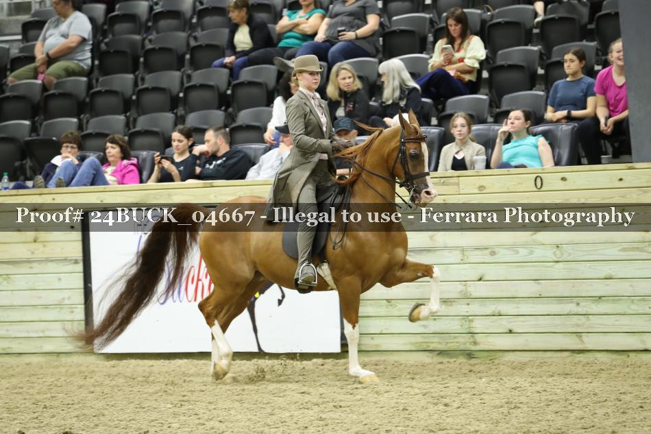 Proof 24BUCK_04667