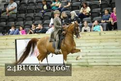 24BUCK_04667 proof