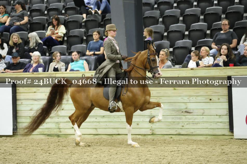 Proof 24BUCK_04668