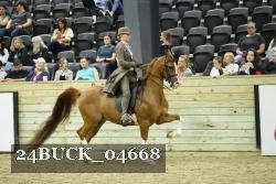 24BUCK_04668 proof
