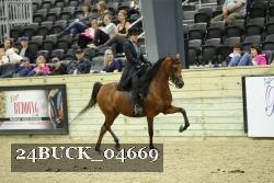 24BUCK_04669 proof