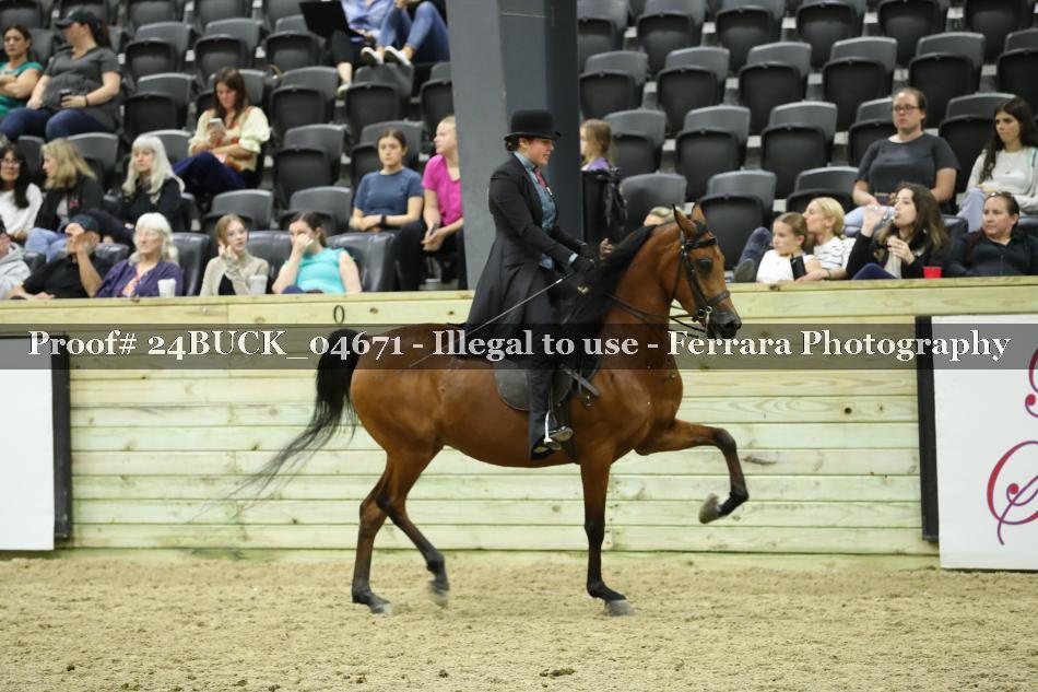 Proof 24BUCK_04671