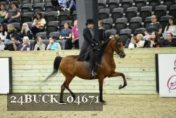 24BUCK_04671 proof