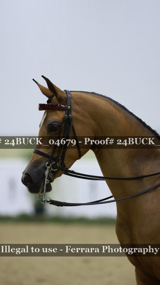 Proof 24BUCK_04679