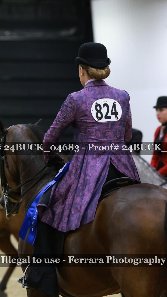 Proof 24BUCK_04683
