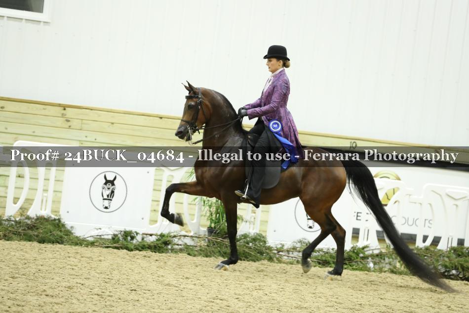 Proof 24BUCK_04684