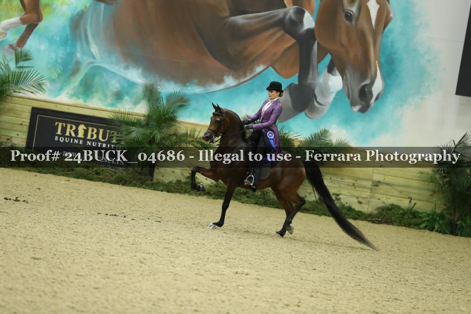 Proof 24BUCK_04686
