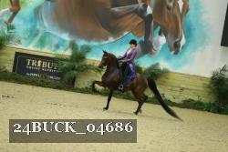24BUCK_04686 proof