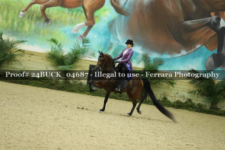 Proof 24BUCK_04687