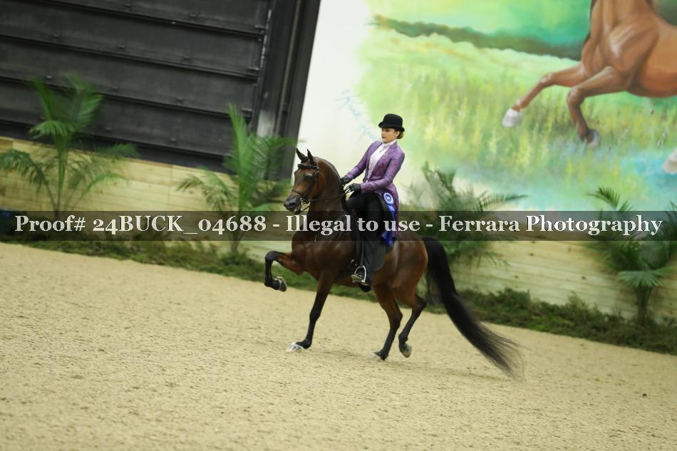 Proof 24BUCK_04688