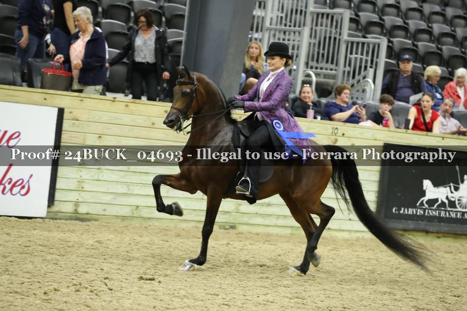 Proof 24BUCK_04693