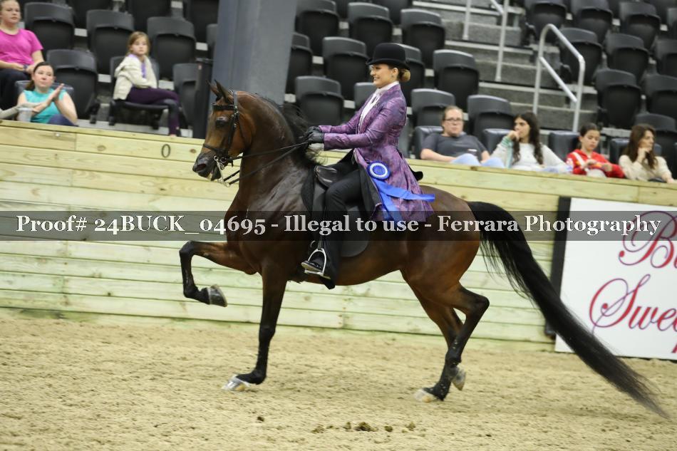 Proof 24BUCK_04695