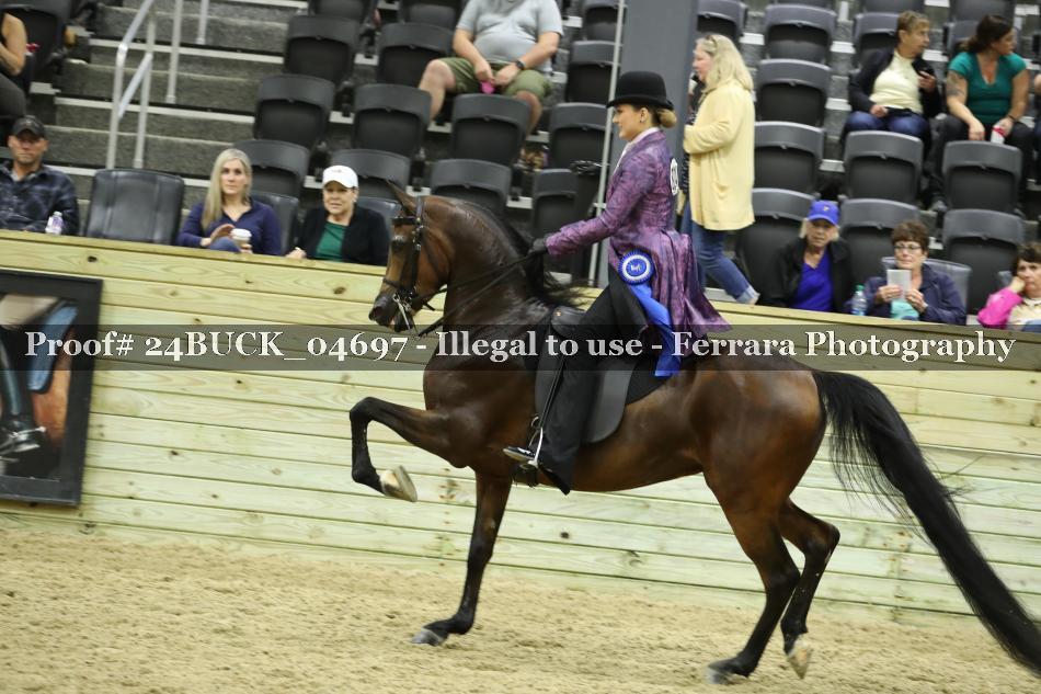 Proof 24BUCK_04697