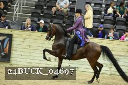 24BUCK_04697 proof