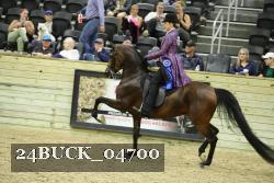 24BUCK_04700 proof